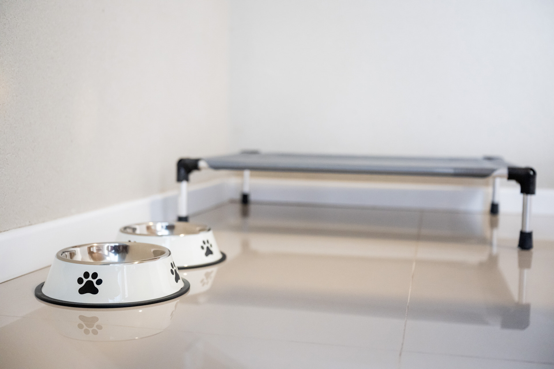 Bowls y camita para mascota