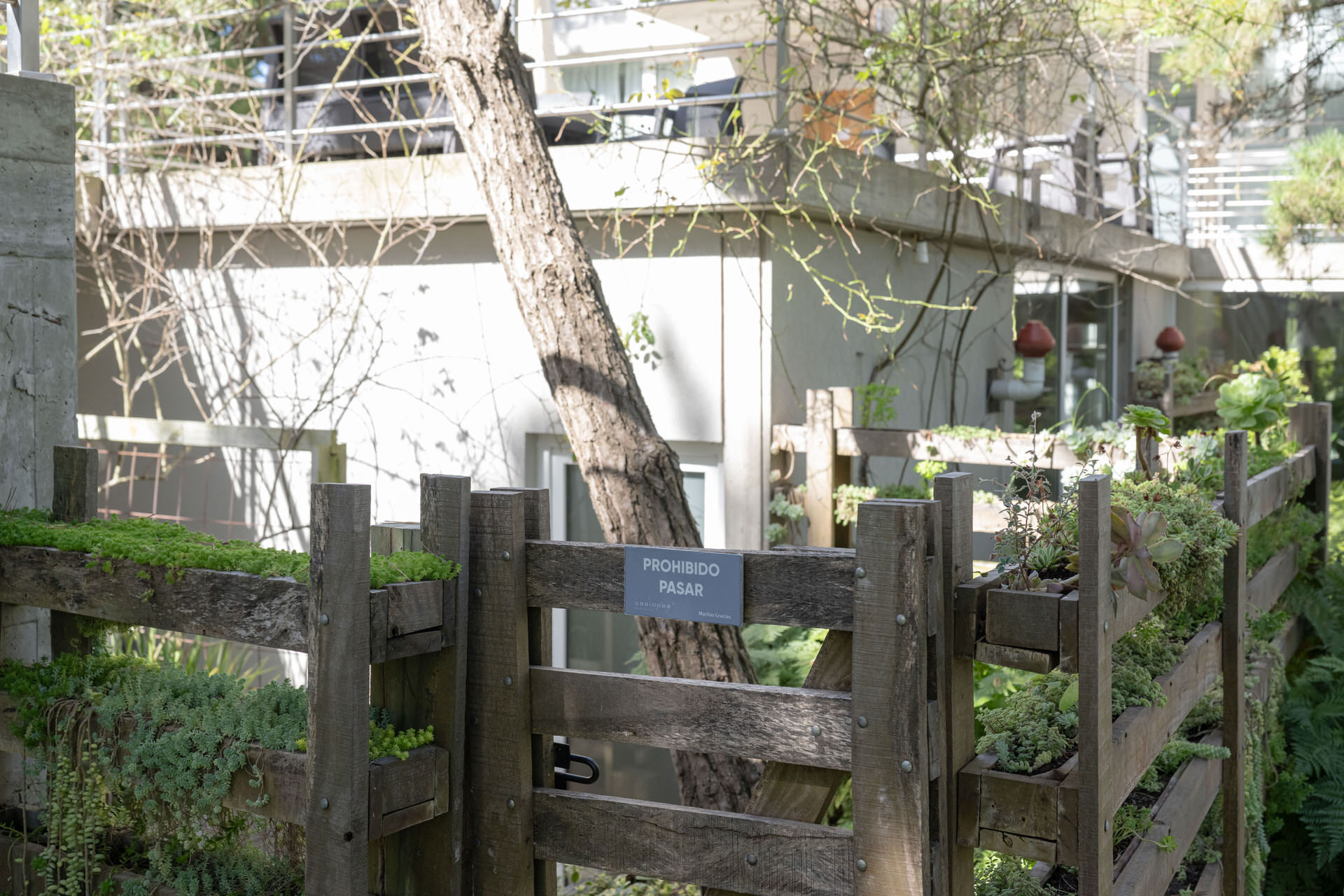 Acceso privado con plantas